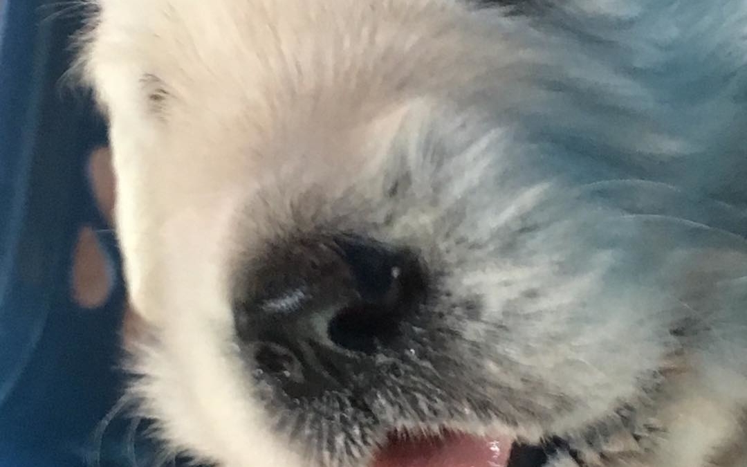 Josh lickin’ lips, mother’s milk