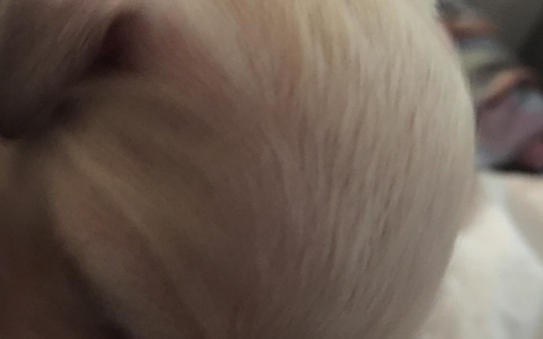 Newborn snow